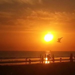 Meet your Posher, Tanya